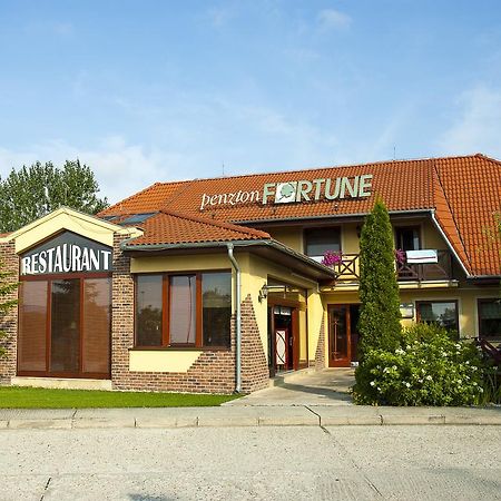 Penzion Fortune Dunajská Streda エクステリア 写真