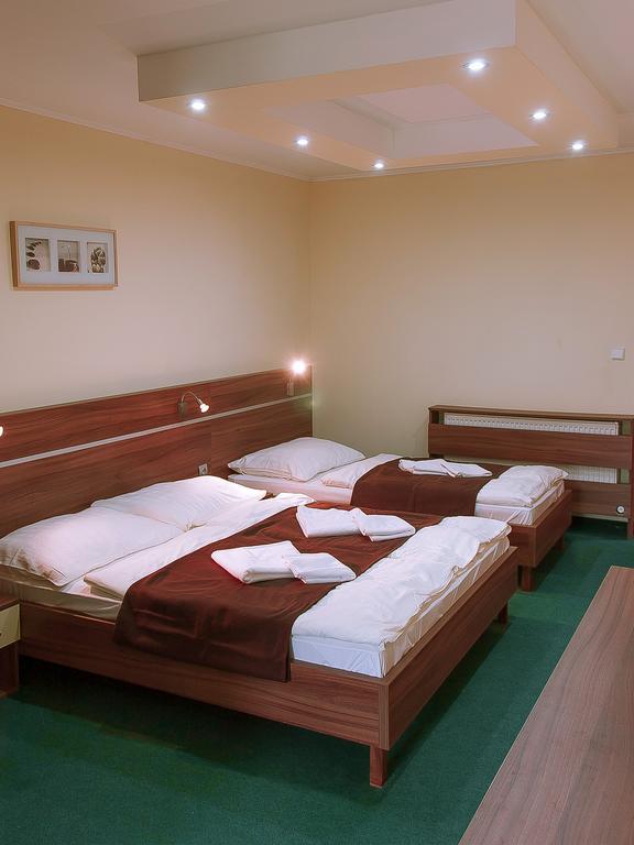 Penzion Fortune Dunajská Streda 部屋 写真